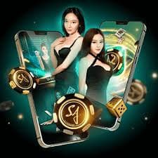 beta app bet beta app bet